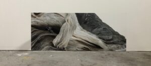 Marion Lachaise
